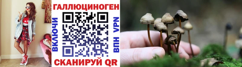Галлюциногенные грибы Psilocybe  блэк спрут tor  Карабаново  закладка 